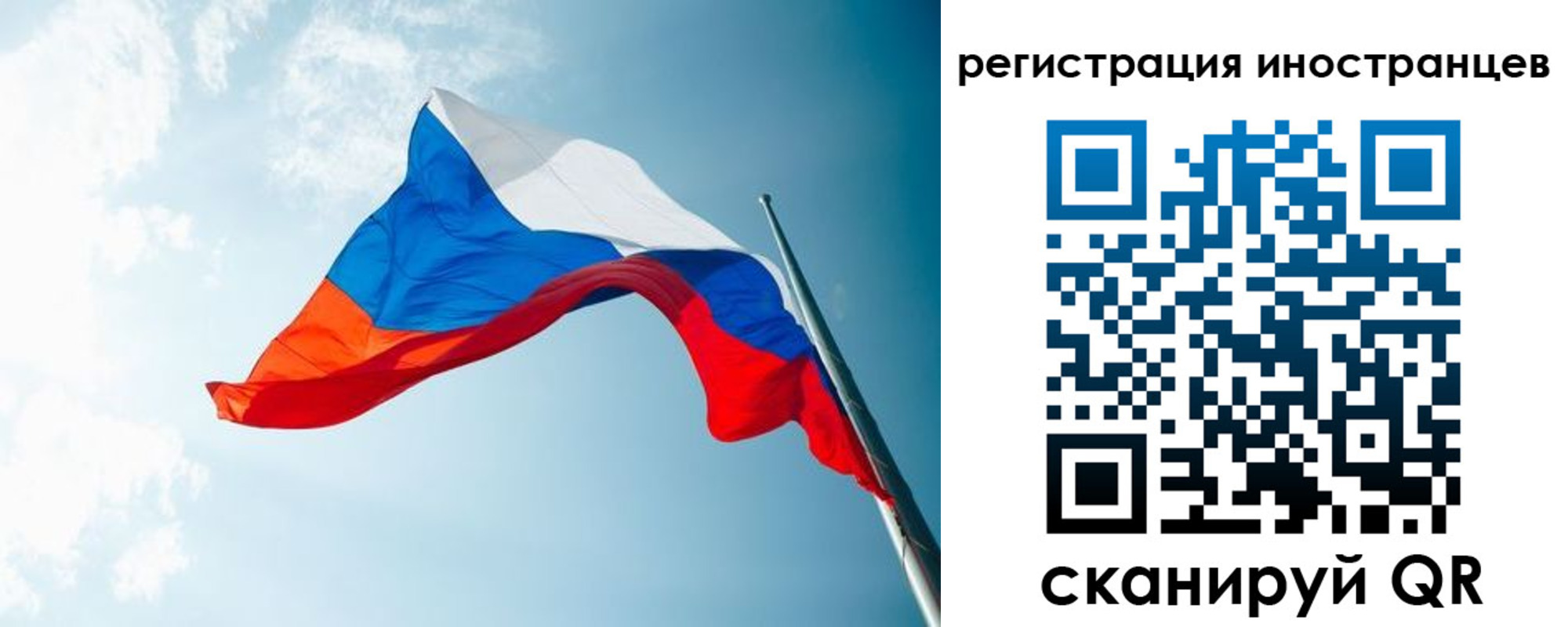 прописка для работы в Кингисеппе