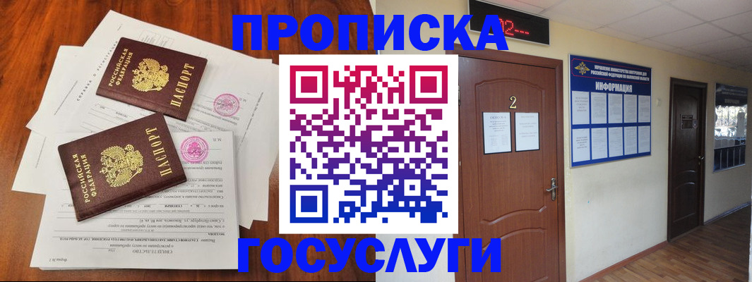 прописка законно в Кингисеппе